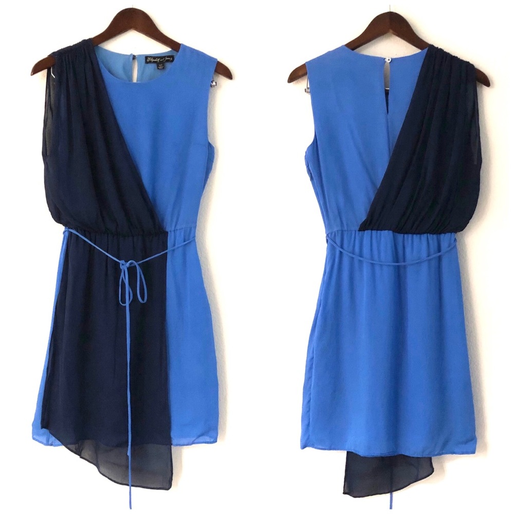 Elizabeth and James Silk Colorblock Draped Dress - Picture 5 of 8